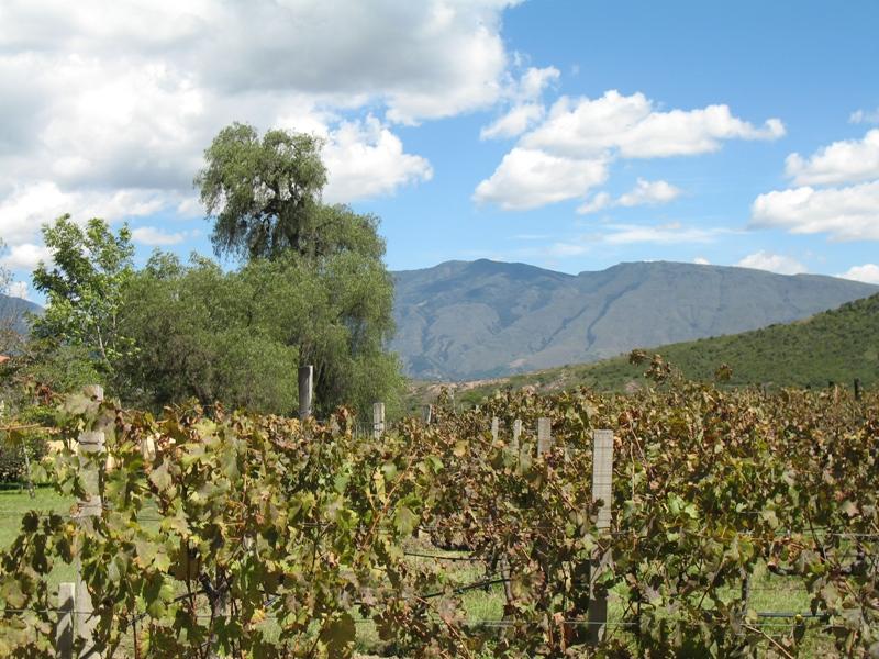 Ain Karim Winery, Villa de Leyva, Colombia