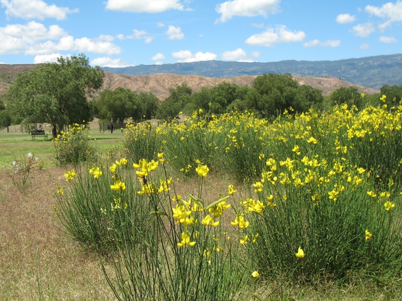  Ostrich Farm, Villa de Leyva, Colombia 