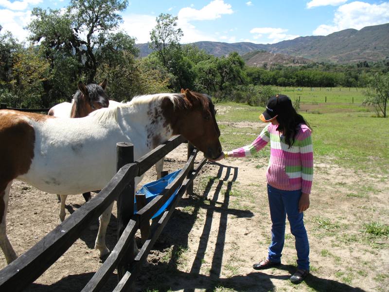  Ostrich Farm, Villa de Leyva, Colombia 