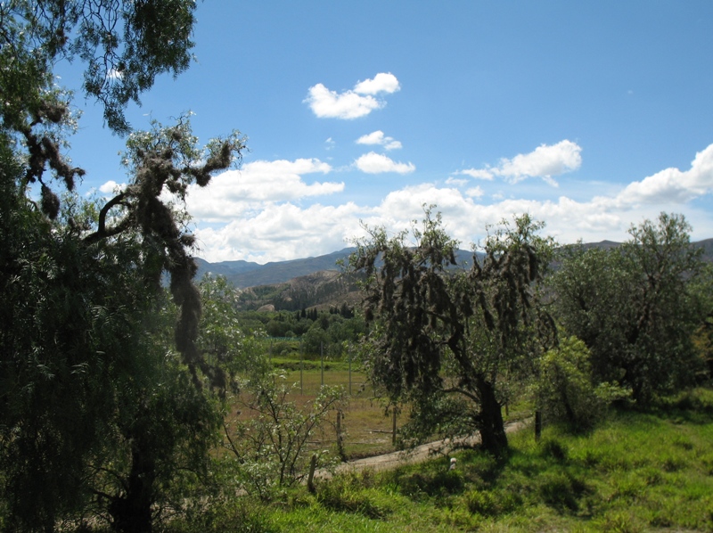  Ostrich Farm, Villa de Leyva, Colombia 