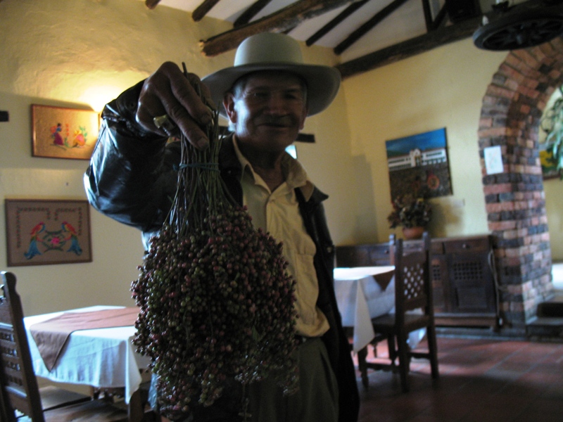 Villa de Leyva, Colombia