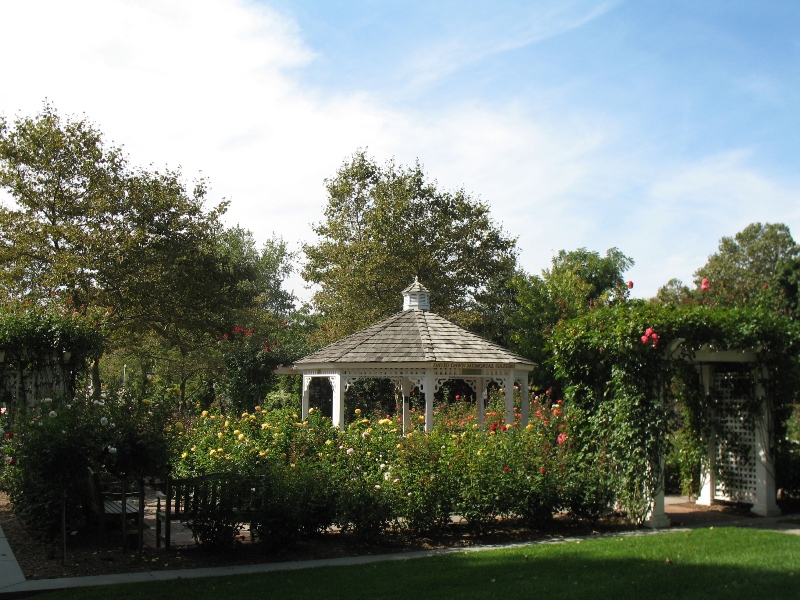 Rose Garden &amp; David Dawn Memorial.  Southampton, New York