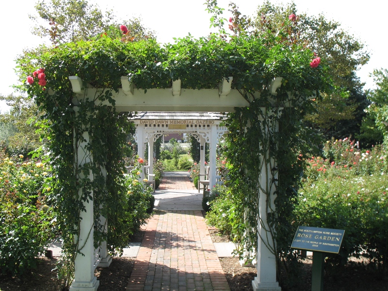  Rose Garden &amp; David Dawn Memorial.  Southampton, New York