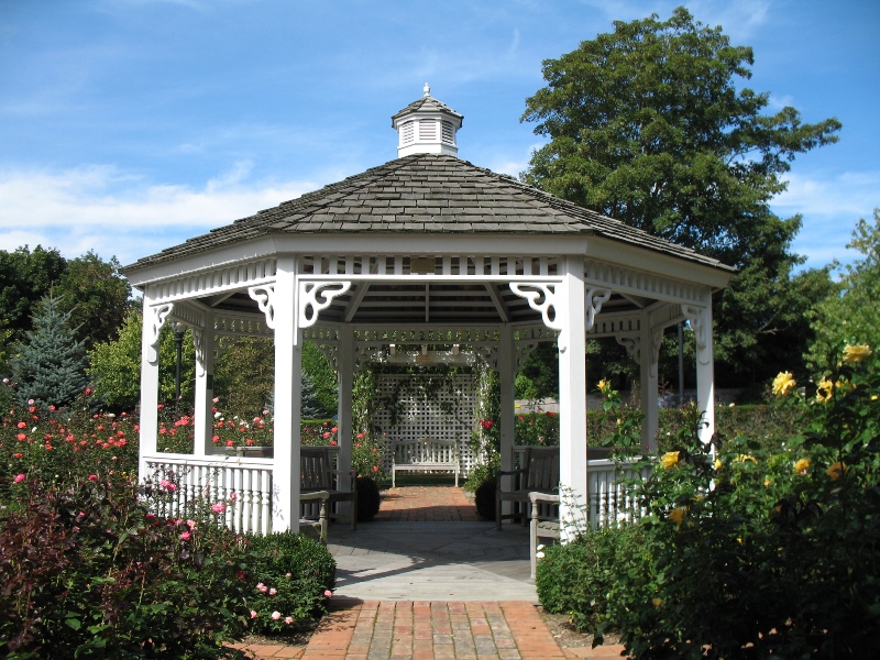  Rose Garden &amp; David Dawn Memorial.  Southampton, New York