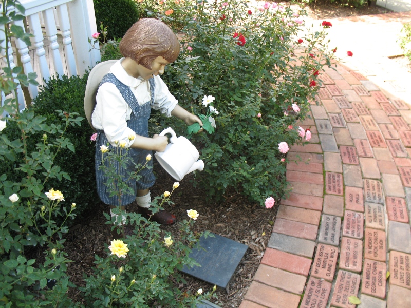  Rose Garden &amp; David Dawn Memorial.  Southampton, New York