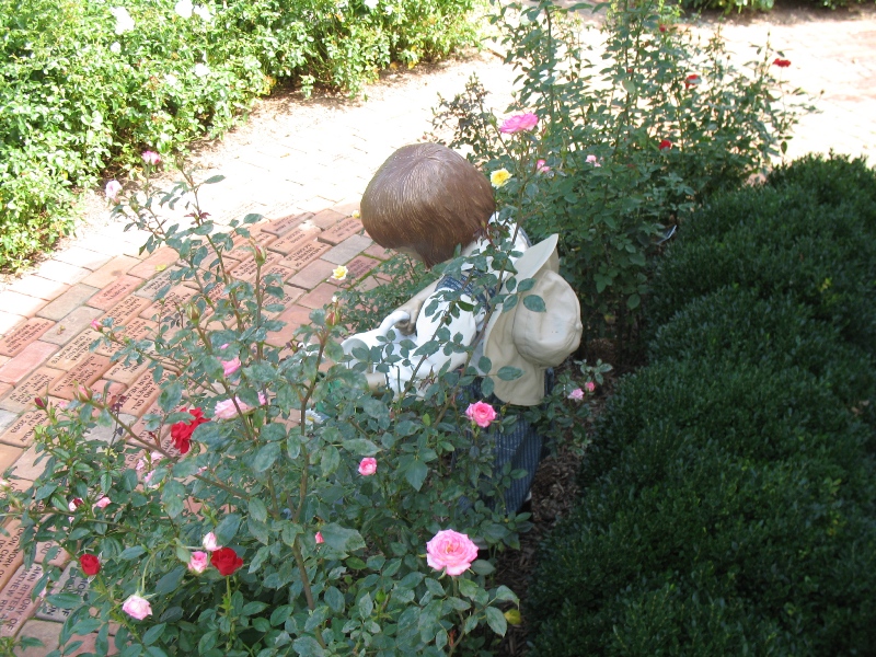  Rose Garden &amp; David Dawn Memorial.  Southampton, New York