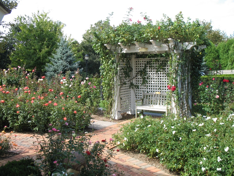  Rose Garden &amp; David Dawn Memorial.  Southampton, New York