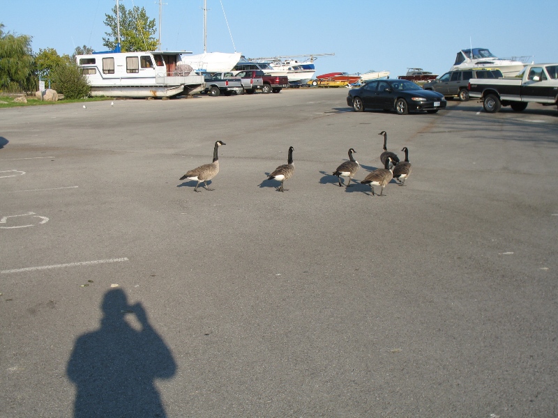 Lake Ontario, Canada