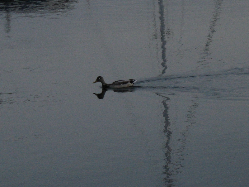 Lake Ontario, Canada