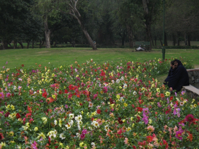  Lodi Gardens, New Delhi, India 