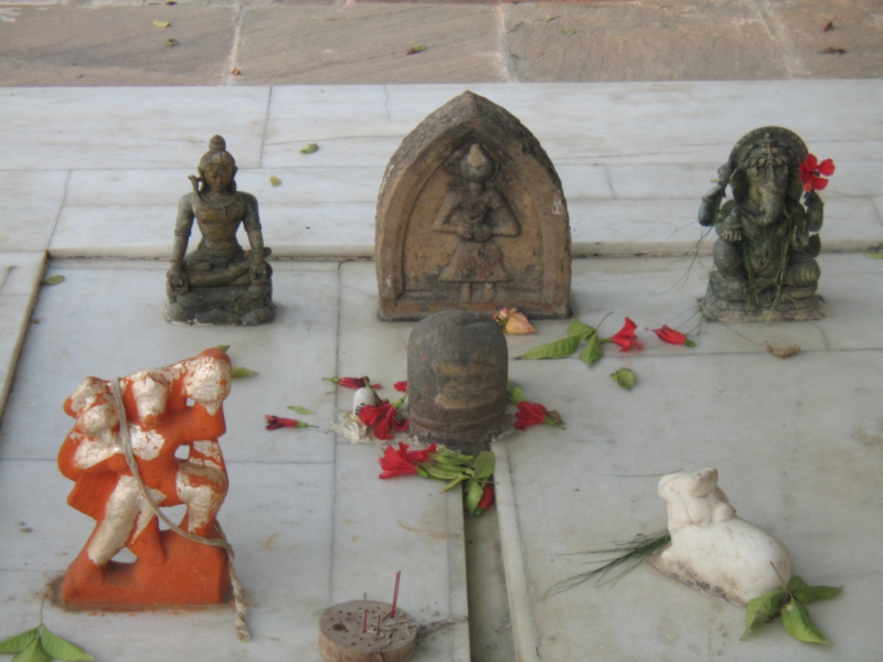 The Bagh, Bharatpur, India