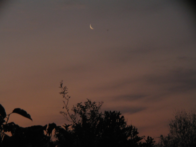 The Bagh, Bharatpur, India