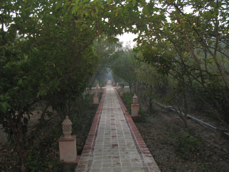 The Bagh, Bharatpur, India