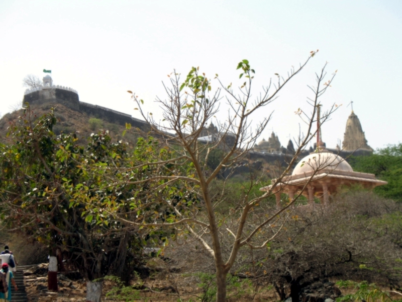 Palitana. Gujarat, India