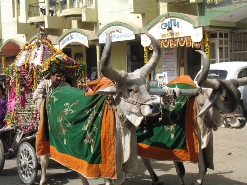 Palitana. Gujarat, India