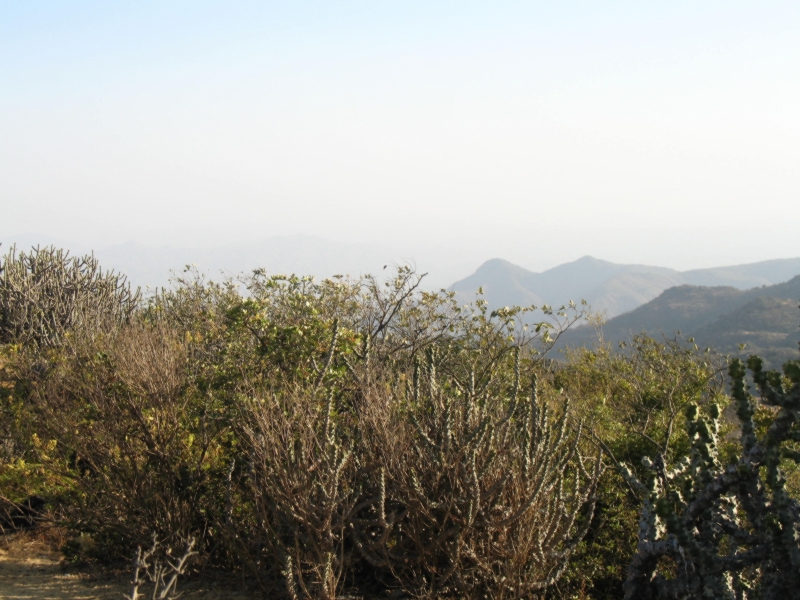 Mount Abu, Rajasthan, India