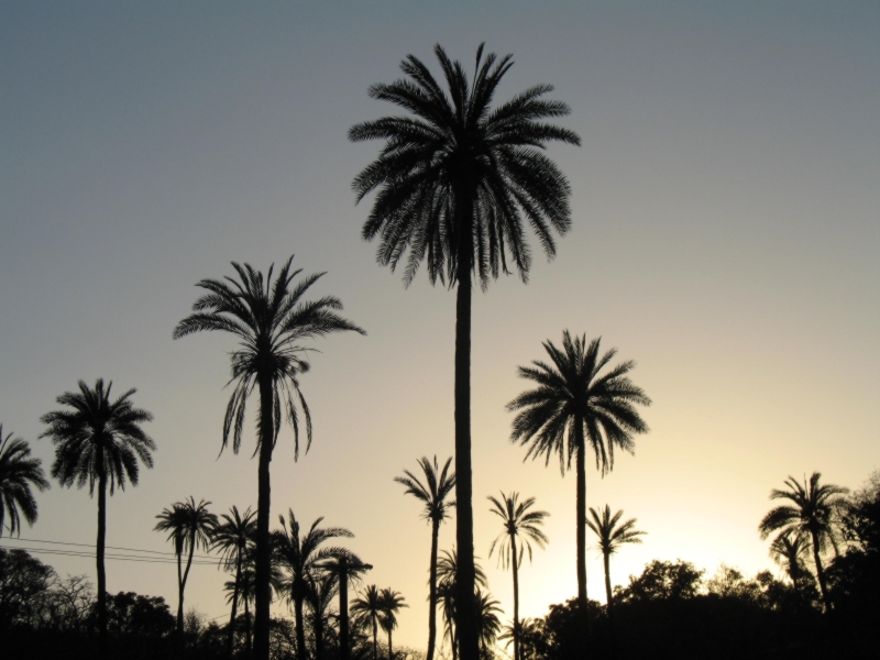 Mount Abu, Rajasthan, India