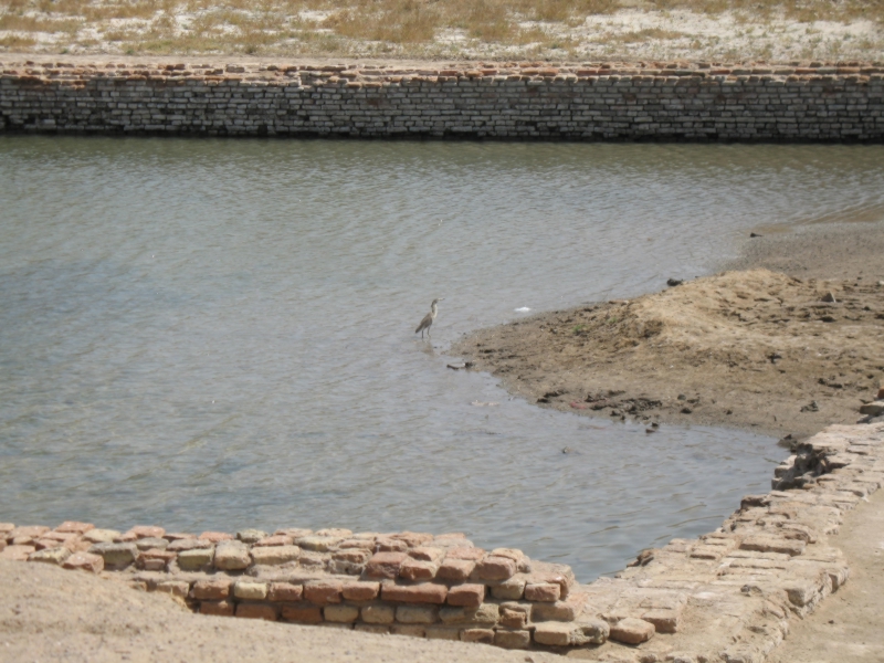 Lothal, Gujarat, India