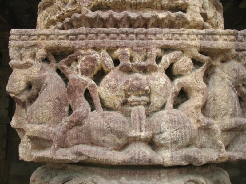  Mehrauli Archaeological Park, New Delhi, India