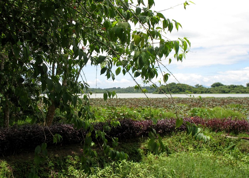 Chiang Saen Lake, Northern Thailand