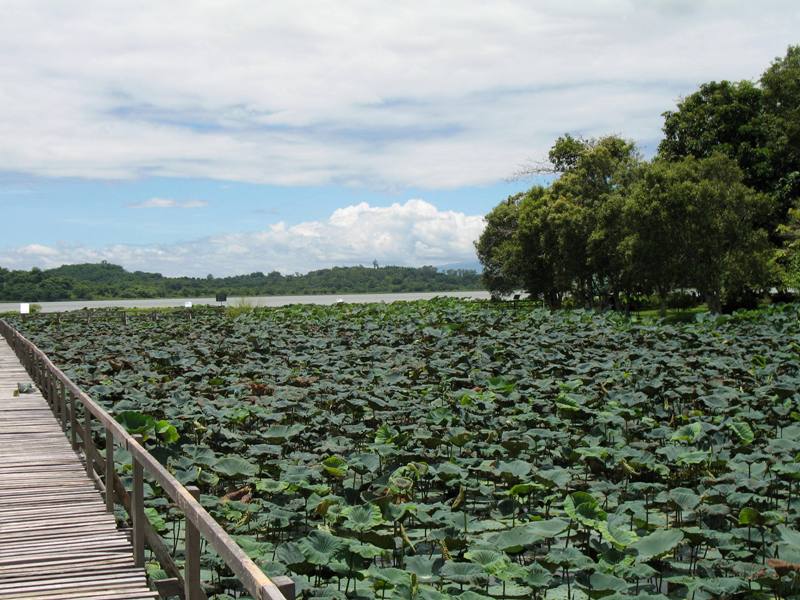 Chiang Saen Lake, Northern Thailand
