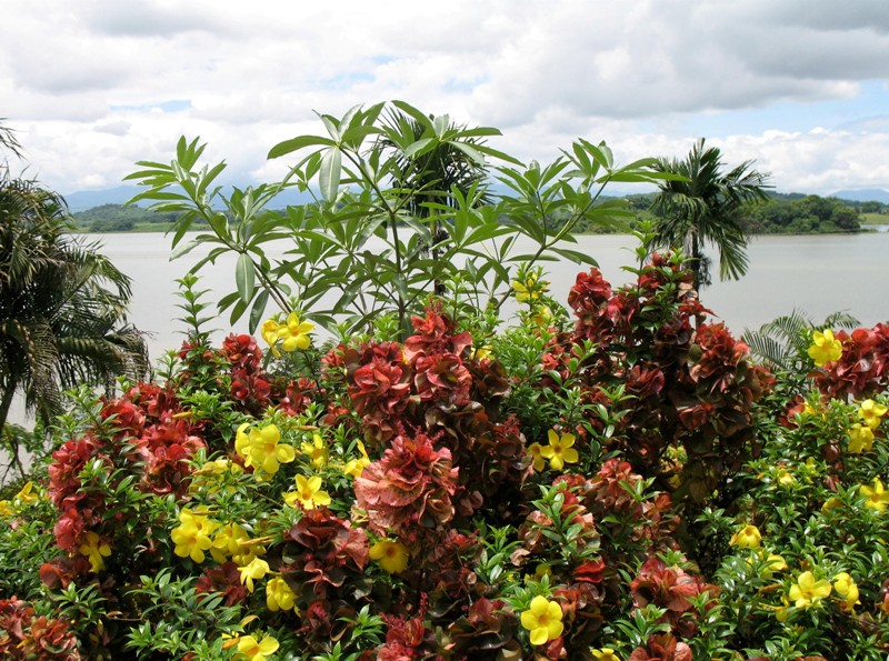 Chiang Saen Lake, Northern Thailand