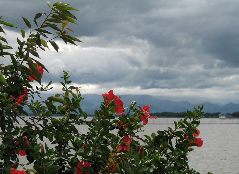 Phayao, Northern Thailand