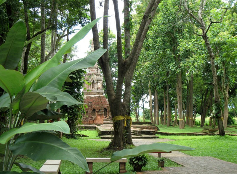 Wat Pa Sak, Northern Thailand