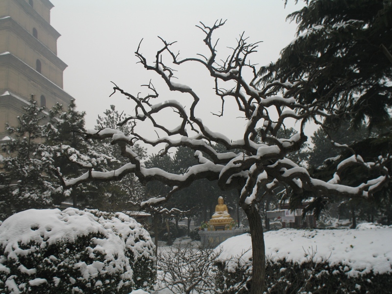 Great Goose Pagoda, Xi'an, Shaanxi, China