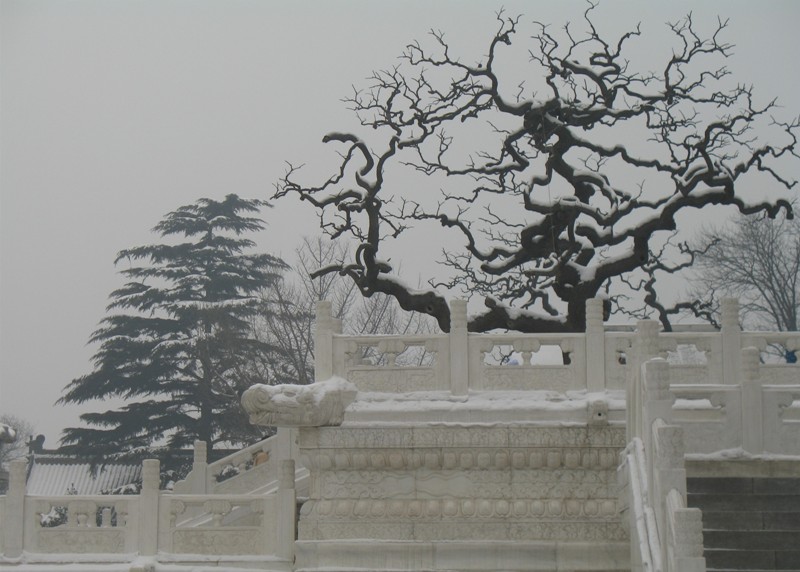 Great Goose Pagoda, Xi'an, Shaanxi, China