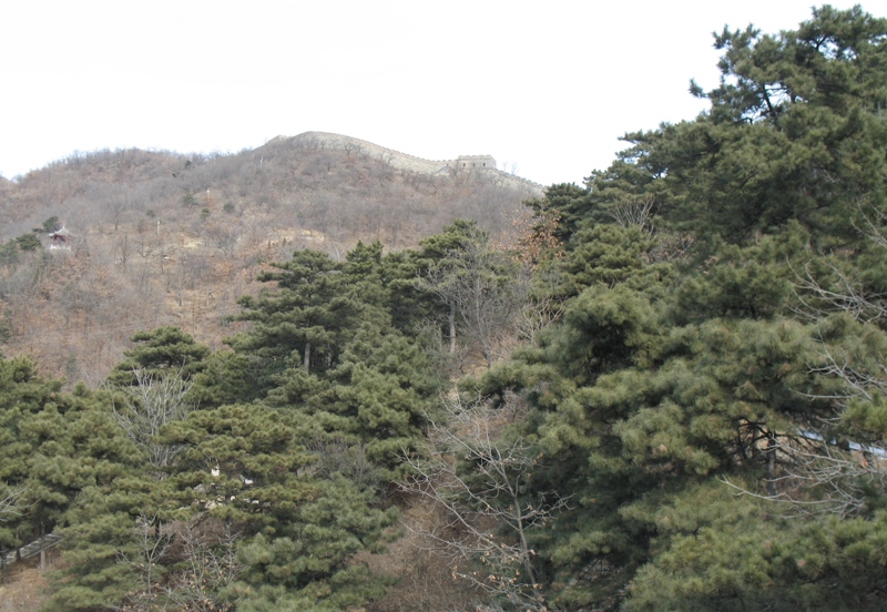 The Great Wall at Mitianyu