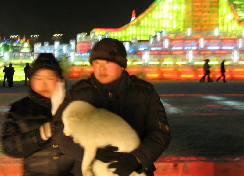 Ice Festival. Harbin, China