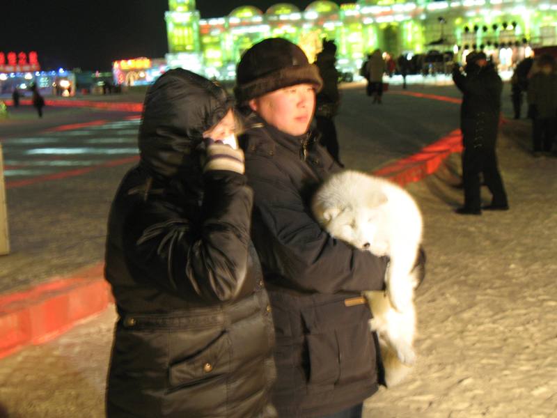 Ice Festival. Harbin, China