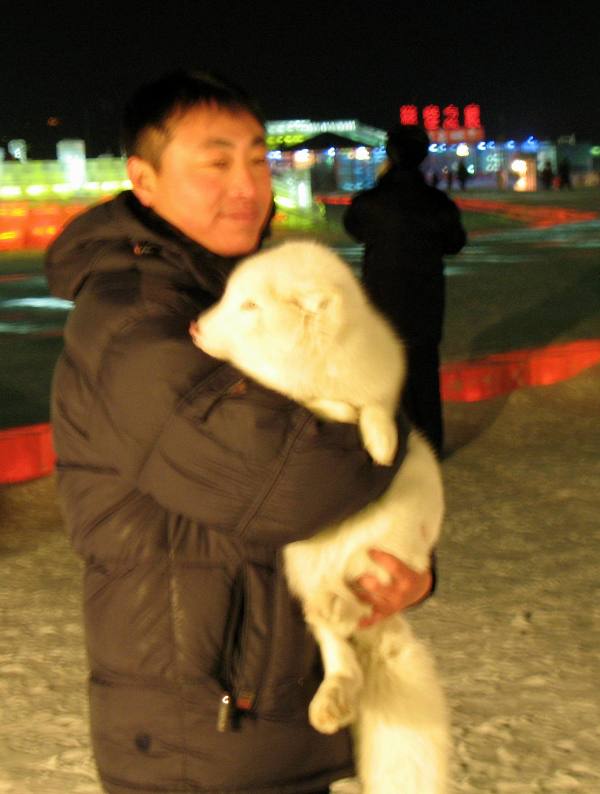 Ice Festival. Harbin, China