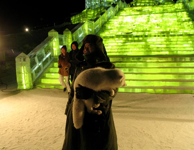 Ice Festival. Harbin, China