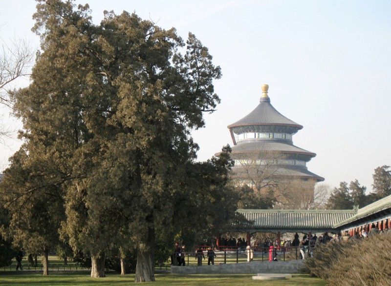 Temple of Heaven Park, Beijing, China
