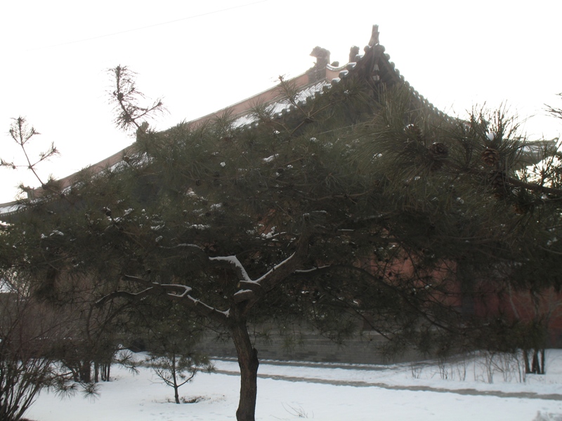 Shanhua Temple. Datong, China 