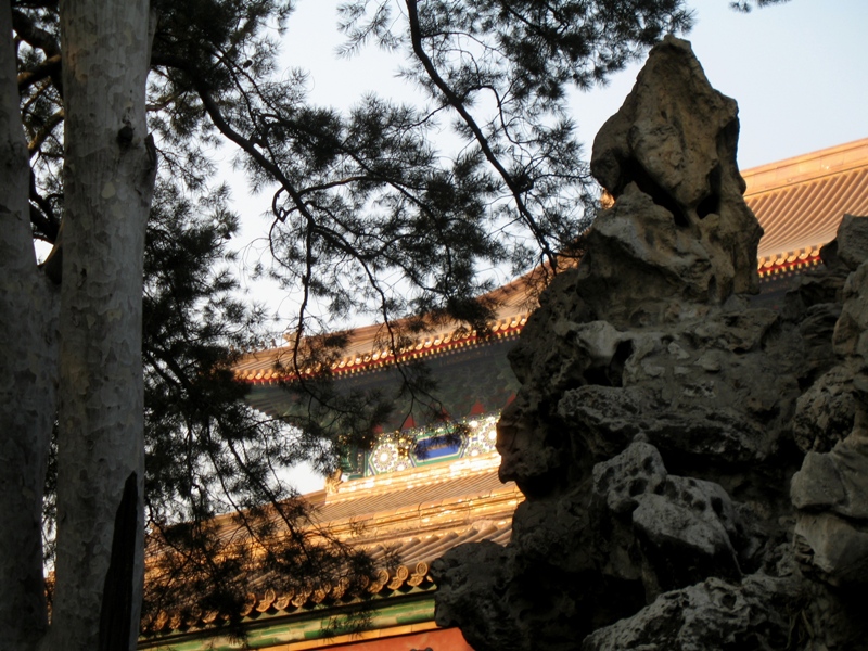 Imperial Gardens, Forbidden City, Beijing