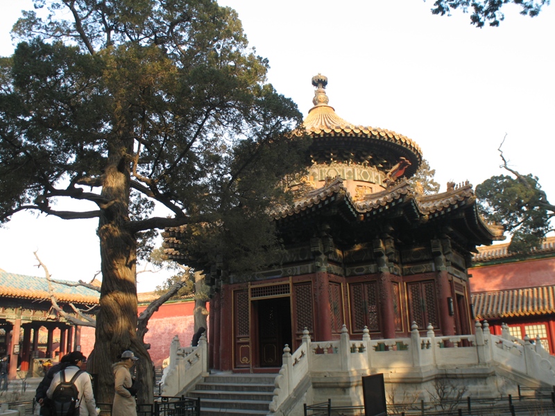 Imperial Gardens, Forbidden City, Beijing