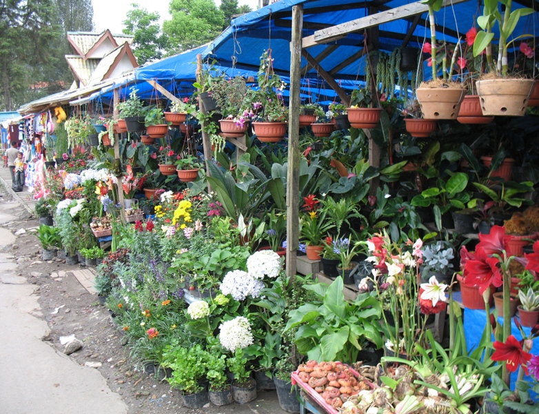 Berastagi, North Sumatra, Indonesia