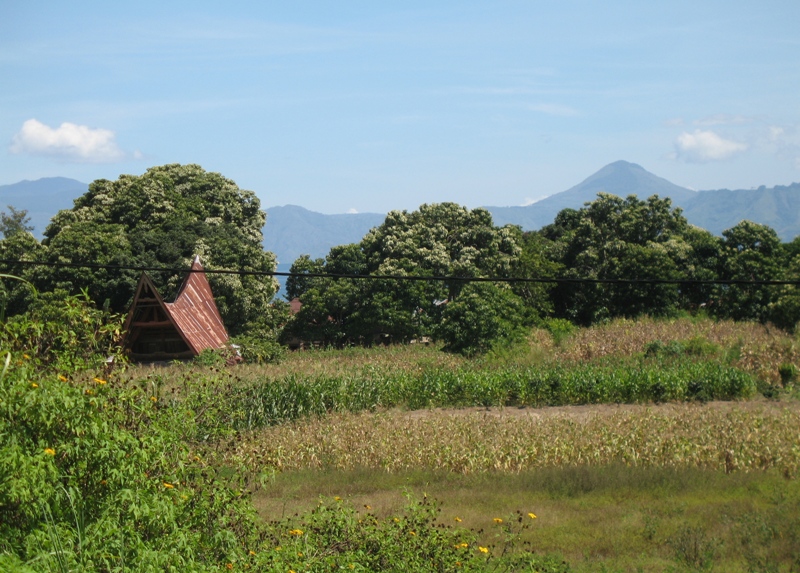  On the Road, Sumatra, Indonesia