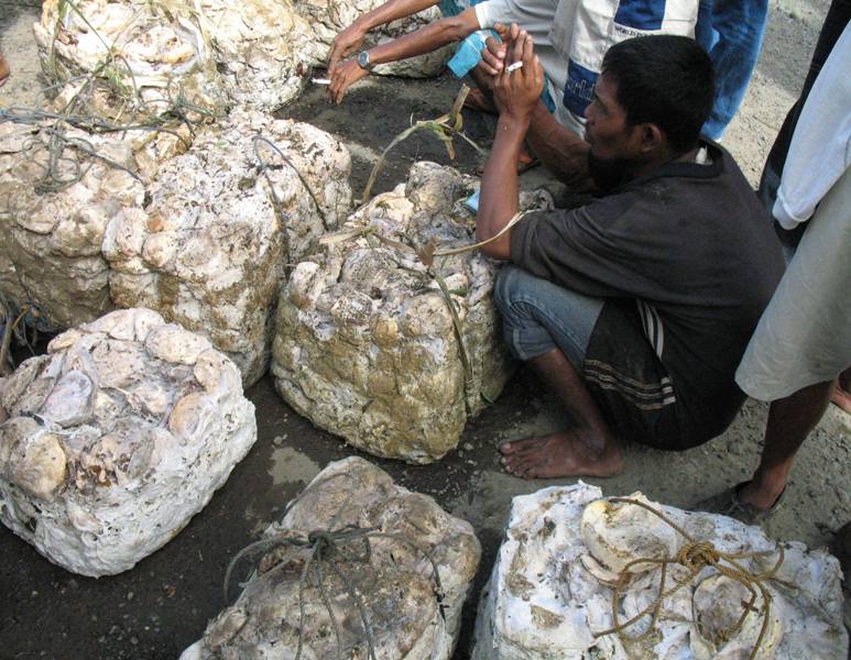 Rubber Market, North Sumatra, Indonesia