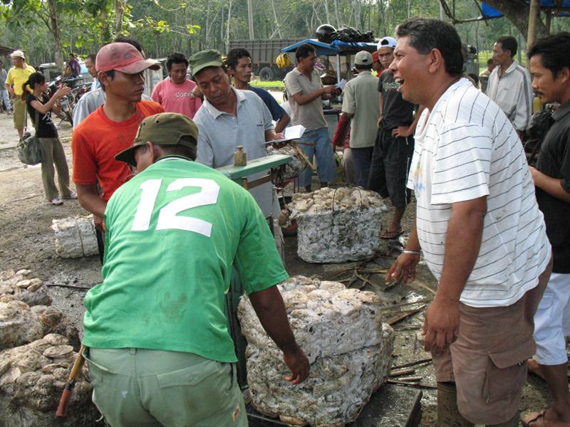 Rubber Market, North Sumatra, Indonesia