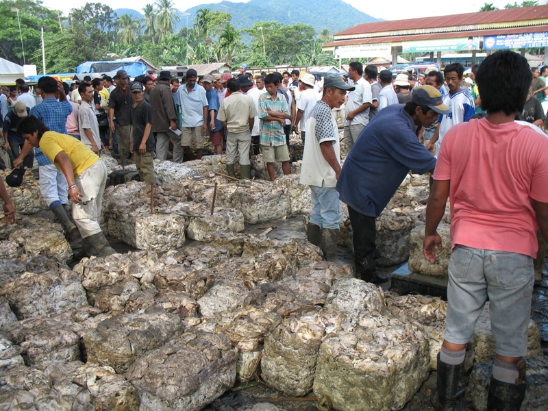 Rubber Market, North Sumatra, Indonesia