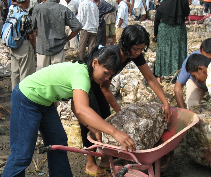 Rubber Market, North Sumatra, Indonesia