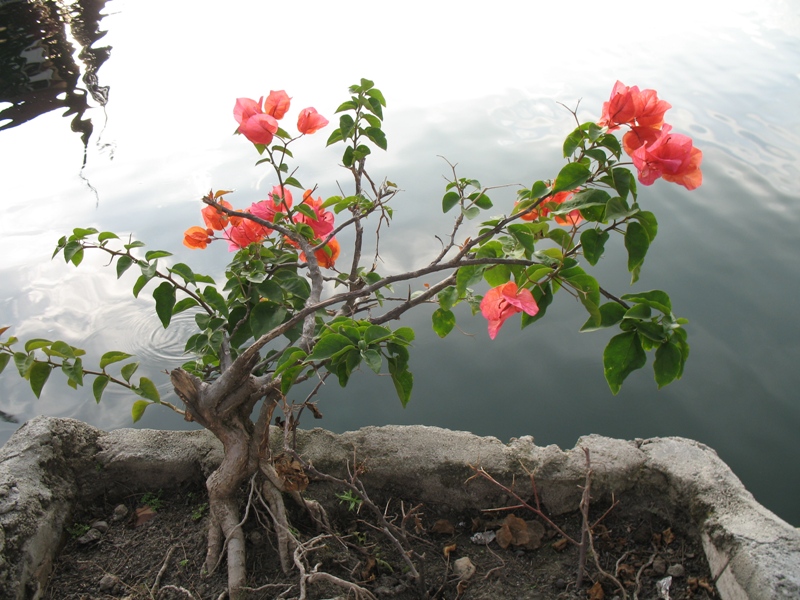 North Sumatra, Indonesia