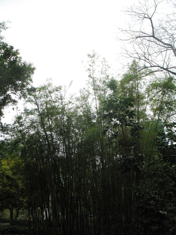 Kowloon Park, Hong Kong