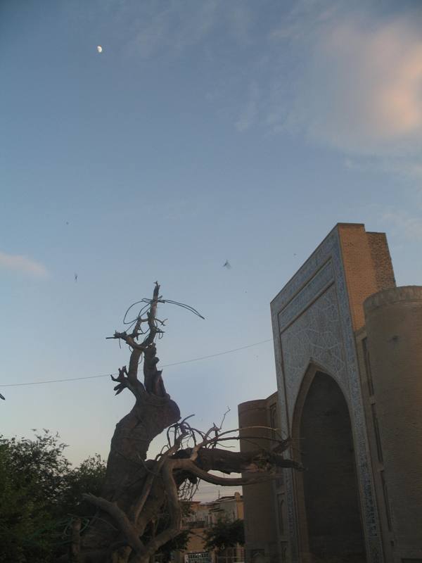 Lyab-Hauz , Bukhara, Uzbekistan