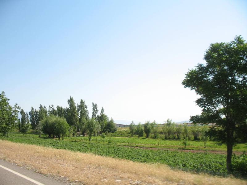 Chimgan, Ugam-Chatkal National Park, Uzbekistan