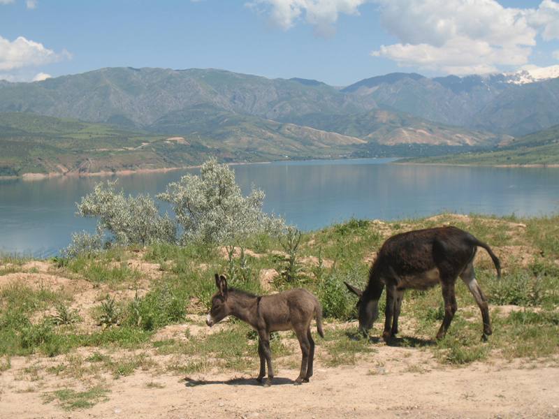 Charvak Reservoir, Uzbekistan 